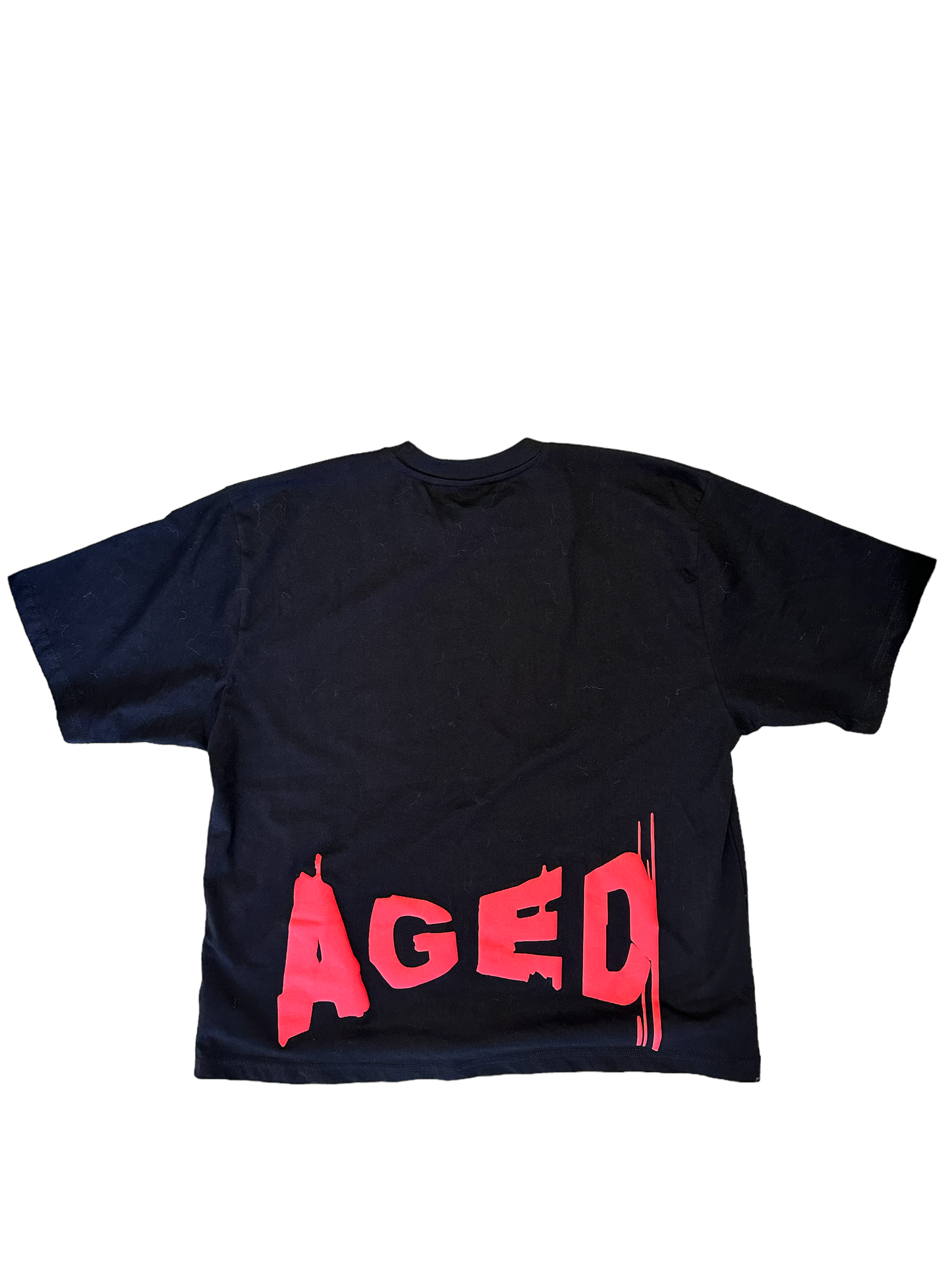 AIM FOR AGED OVERSIZED TEE
